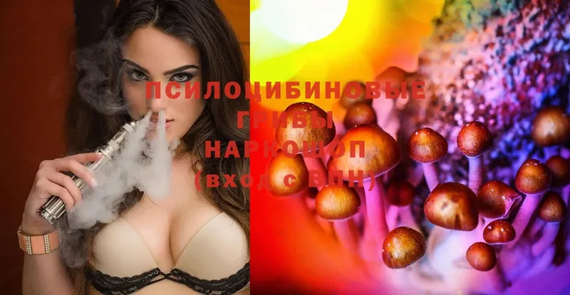 наркота  Курск  Галлюциногенные грибы Cubensis 